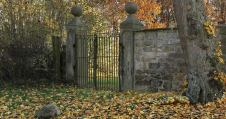 Kun jij de vrouw op deze foto vinden? Dan heb je een bovengemiddeld IQ.