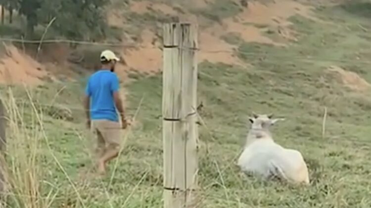 Theo gaat de uitdaging aan en zal wel even een stier rijden