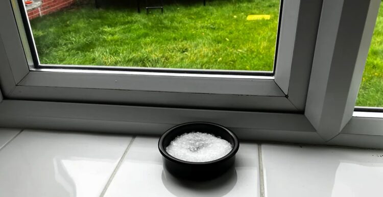 Supertip: Dit is waarom je een schaaltje zout op je vensterbank moet zetten