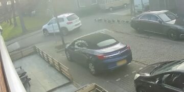 Automobilist ziet eenden over het hoofd en rijdt ze plat