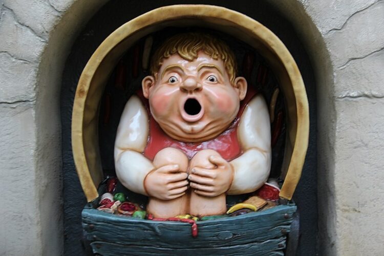 Efteling-fan intens verdrietig: ‘Kan in park niet naar een genderneutraal toilet’