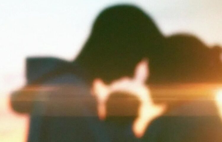 Lang Leve De Liefde in opspraak door groot schandaal