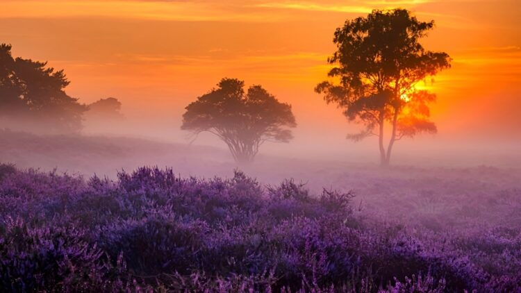Opgelet! Het weer gaat dit weekend gigantisch omslaan