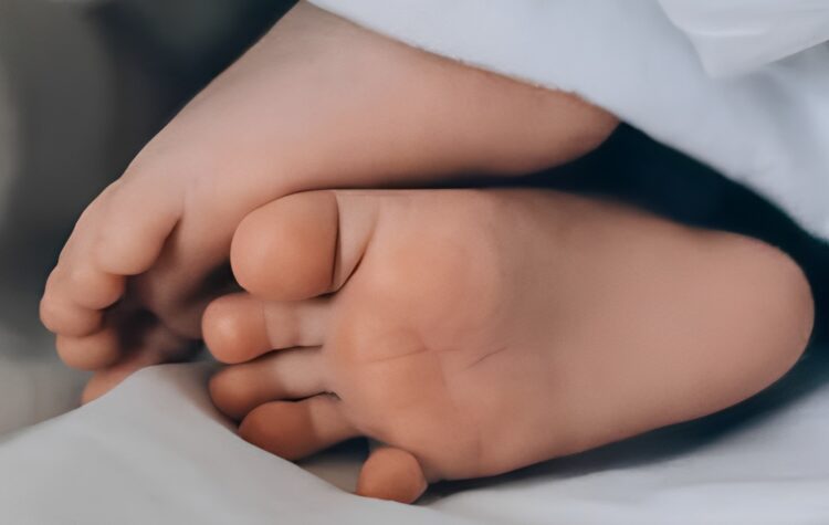 Gezinshond richt dodelijke aanval aan op baby van negen maanden, terwijl vader in slaap was gevallen