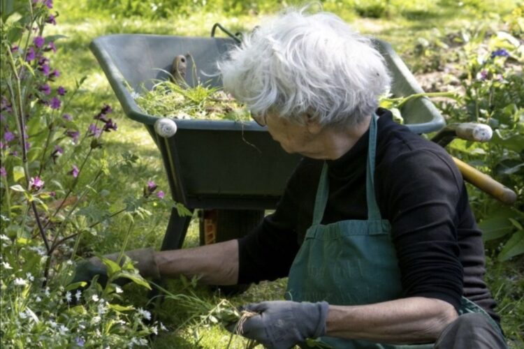 Hovenier waarschuwt: “Wacht nog even met jouw tuin lenteklaar maken”