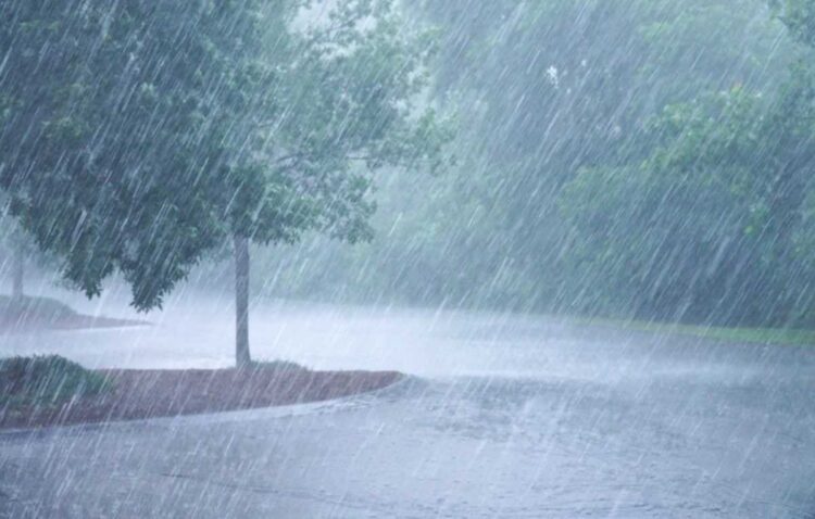 Pak je paraplu er maar bij: stevige buien op komst en hier gaat het los