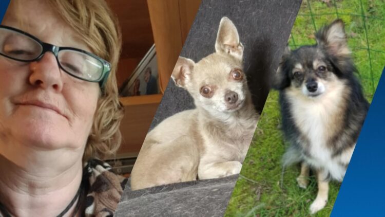 Dit weten we nu over de vermiste Annette (59) en haar twee hondjes en zo kan je helpen