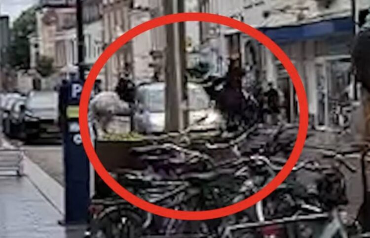 Zien: Schokkende beelden uit Den Bosch – man rijdt vol gas in op politiepaarden