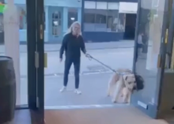 Vrouw laat hond uit en weet dan waarom manlief altijd uren wegblijft…