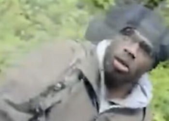 Lichtpuntje belaagt buschauffeur en slaat alles kort en klein