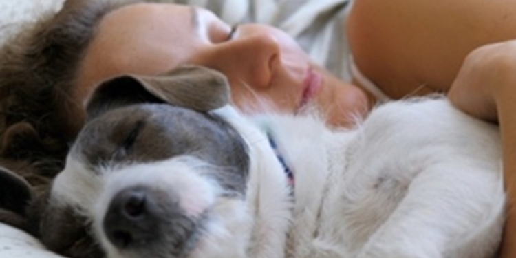 Psycholoog waarschuwt: dit zegt het over je als je je huisdier bij je in bed laat slapen