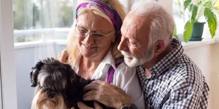 Een hond nemen op latere leeftijd: dit zijn de beste honden voor senioren boven de 60