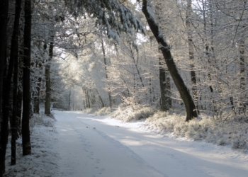 Weerdiensten waarschuwen: In deze provincie gaat het straks sneeuwen