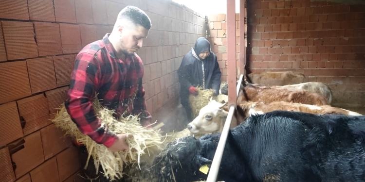 Uğur (35) keert terug naar zijn eigen land: “Liever boer in Turkije dan een robot in Europa”