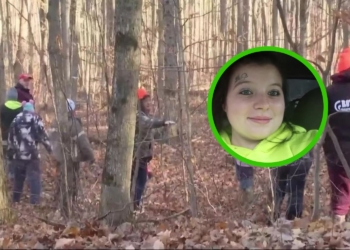 Zwangere vrouw (22) dood gevonden in bos, politie zoekt wanhopig naar verdwenen baby