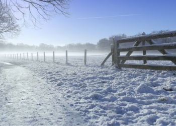 Let op: Het ergste winterweer is niet voorbij! Er komt opnieuw veel sneeuw aan