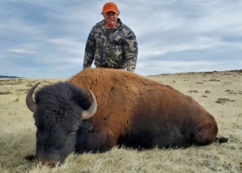 KARMA: Miljonair (75) jaagt in Afrika op zeldzame antilope en kan het niet na vertellen