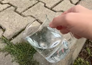 Giet dit over je stoeptegels. Mos en onkruid verdwijnen tot in de wortel