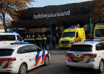 Grote paniek bij Bobbejaanland politie en ambulance ter plaatse