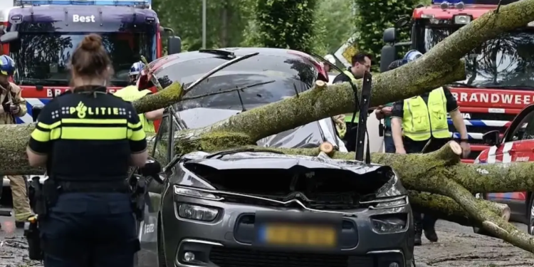 Bekende politicus (45) overleden bij schokkend incident op de weg