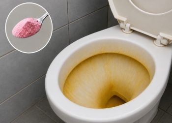 Slechts €2,74 bij Action: met dit spul ziet je toiletpot er binnen no-time weer stralend wit uit