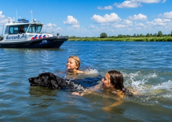 Dringende waarschuwing: zwemmen op deze locaties per direct verboden