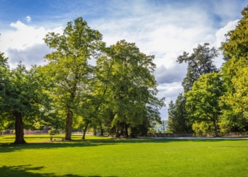 Migrant kan zijn handen niet van kind (5) afhouden in park en vader grijpt keihard in