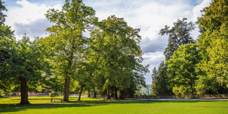 Migrant kan zijn handen niet van kind (5) afhouden in park en vader grijpt keihard in