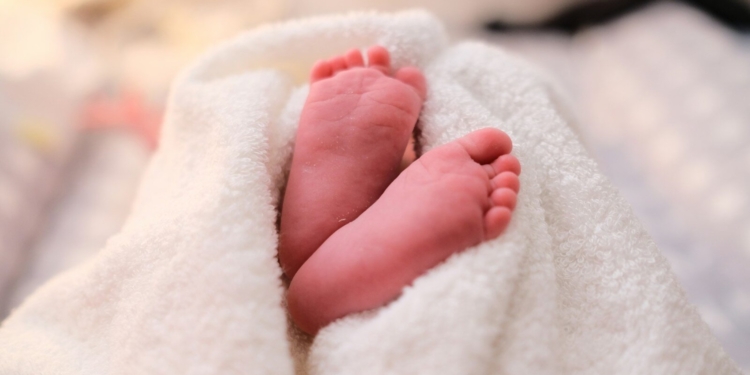 Geweldig babynieuws voor deze bekende Nederlander (76): ‘Ik krijg er nog eentje’