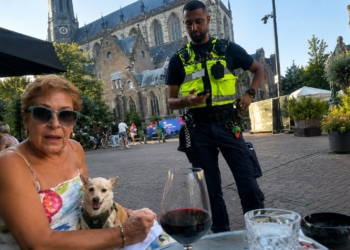 VIDEO: Handhaving deelt boete uit aan bejaarde vrouw met piepklein hondje en de reden is echt bizar