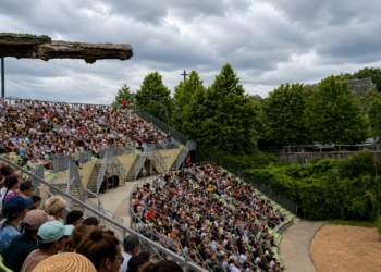 Verschrikkelijk drama op de tribune bij dierenpark