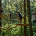 Tiener overleden na val van 40 meter in klimpark