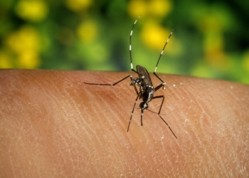 Nieuw geval van westnijlvirus ontdekt: zorgen over verdere verspreiding groeien
