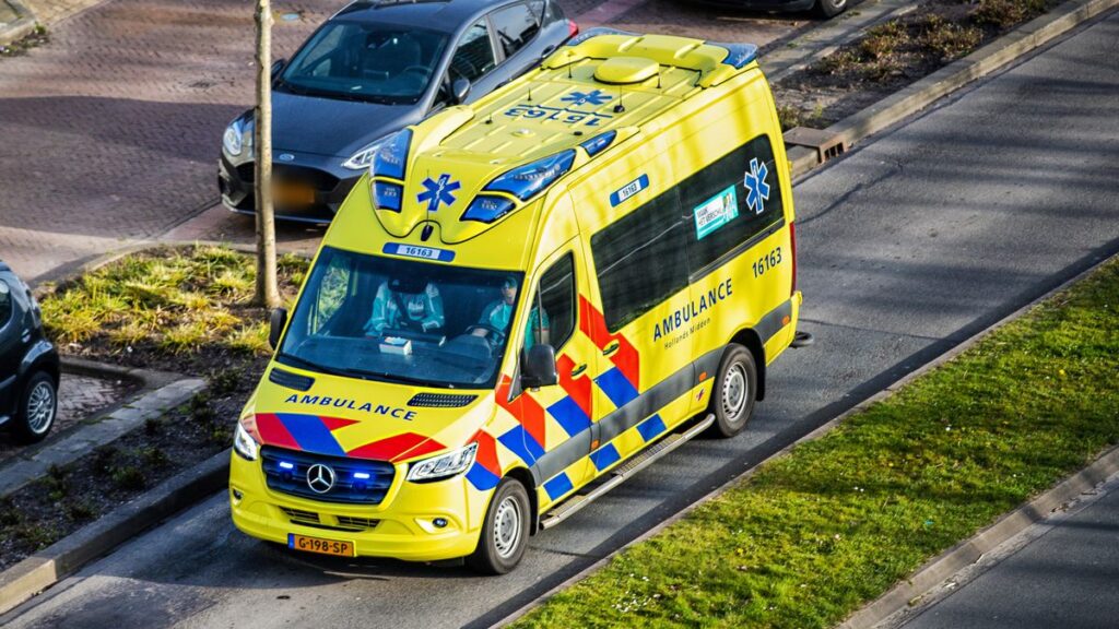 Verschrikkelijk drama: baasje zwaargewond na aanrijding, hond overleeft het niet