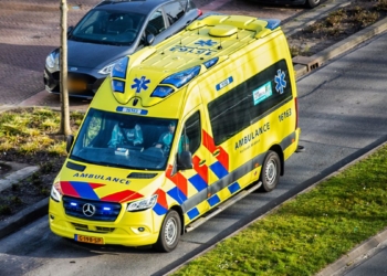 Verschrikkelijk drama: baasje zwaargewond na aanrijding, hond overleeft het niet
