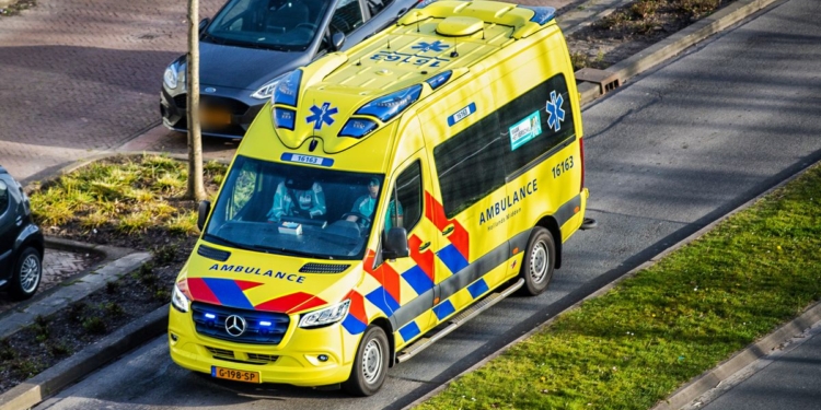 Verschrikkelijk drama: baasje zwaargewond na aanrijding, hond overleeft het niet