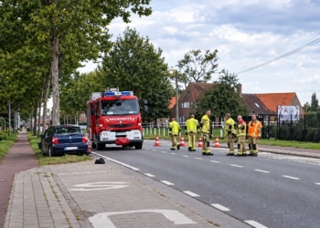 Verschrikkelijk: Jonge moeder (18) overleden bij ernstig verkeersongeval